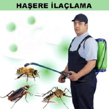 Tatvan Böcek İlaçlama